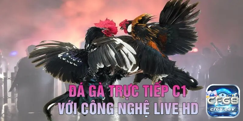 Đa dạng trận đấu kịch tính và gay cấn được phát trực tiếp mỗi ngày để anh em thưởng thức