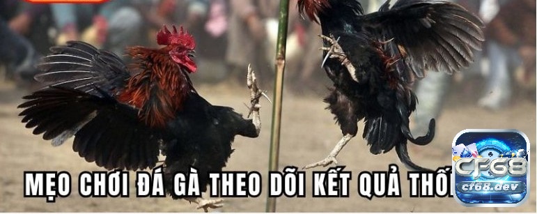 Đánh giá qua kết quả trong lịch sử của các ván đấu để tăng tỉ lệ chiến thắng