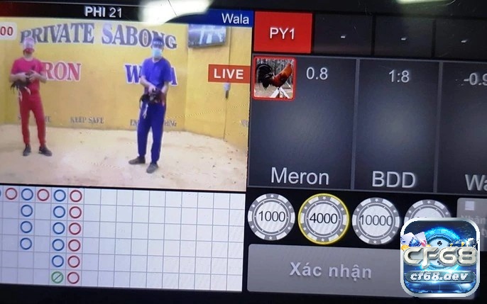 Những ưu điểm vượt trội mà đá gà chọi C1 mang đến cho anh em cược thủ