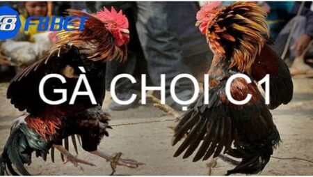 Đá gà chọi C1 – Những điều anh em cần nắm khi trải nghiệm