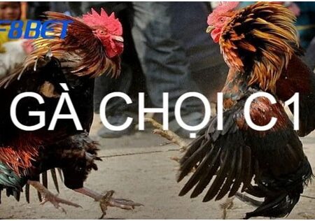 Đá gà chọi C1 – Những điều anh em cần nắm khi trải nghiệm